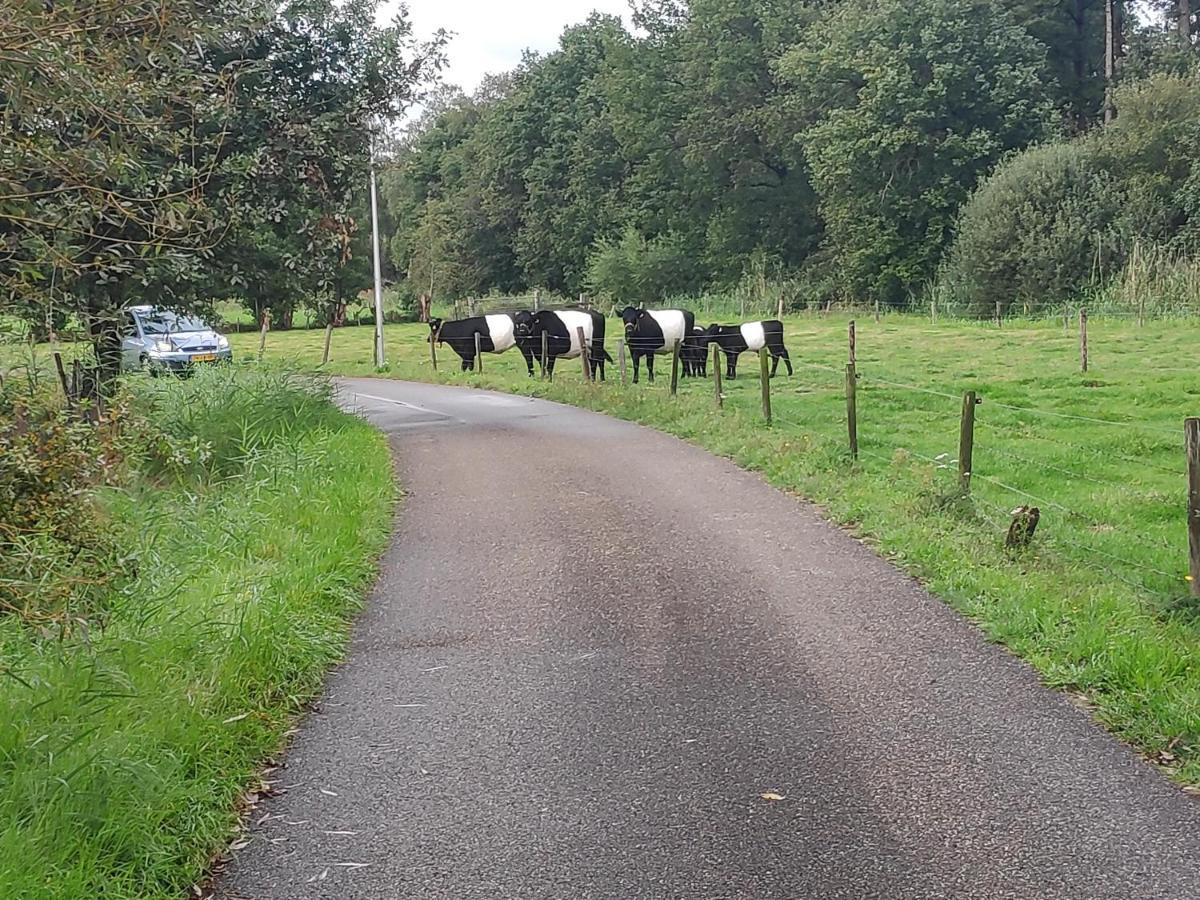 Elferink Hoeve Woudenberg Exterior foto
